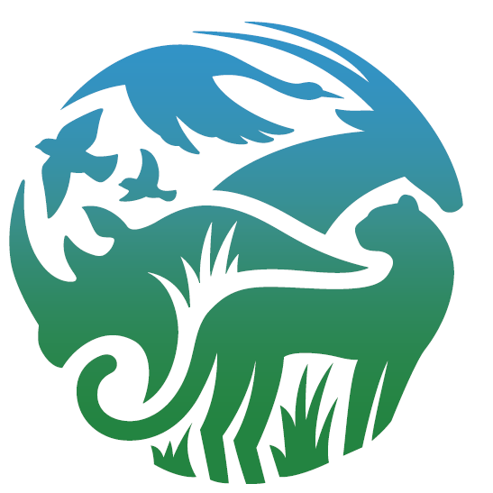 C2S2 Annual Meeting 2026 - logo